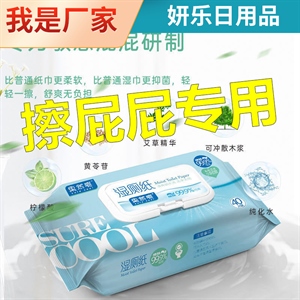 湿厕纸可降解擦屁股男女私处卫生湿纸巾一次性便携抑菌厕用湿巾,义乌品彩,凌派座套专用