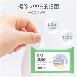 湿厕纸湿厕巾如厕纸湿巾男女私处卫生原生木浆便携洁厕湿抑菌湿巾,义乌品彩