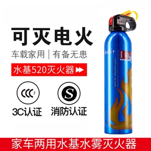 车载小火苗灭火器 汽车迷你便携式干粉小型消防器材 家通用手提式,义乌品彩