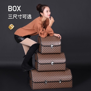 2022年新款卡扣LV储物箱置物箱,闫师傅