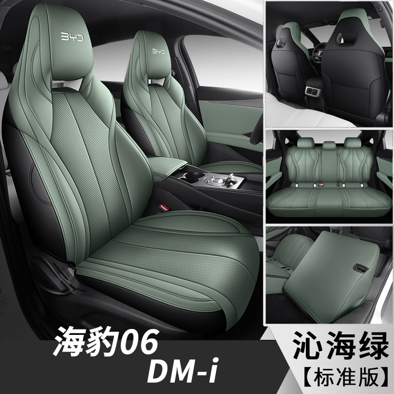 飞琳 海豹06DM-i 专车专用