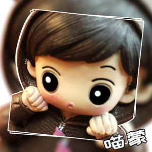 喵蒙情侣,瑞恒车饰