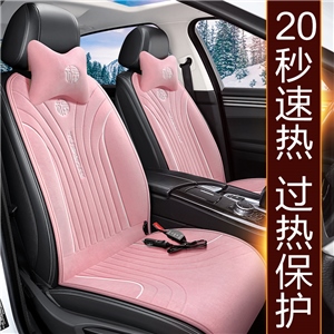21年新款宝宝绒刺绣加热垫,德利斯,宝骏MINI
